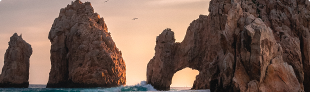 Meetings & Incentive travel booking and planning